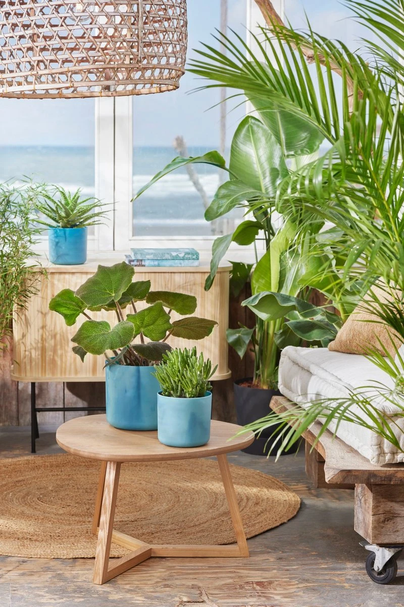 Elho The Ocean Collection Round 22cm - Bloempot Voor Binnen - 100% Gerecycled Materiaal - Gemaakt Met Zeeafval - Ø 22.3 X H 20.4 Cm - Atlantisch Blauw 5 Elho The Ocean Collection Round 22cm - Bloempot Voor Binnen - 100% Gerecycled Materiaal - Gemaakt Met Zeeafval - Ø 22.3 X H 20.4 Cm - Atlantisch Blauw - Afbeelding 3