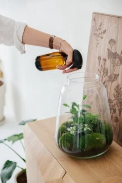 24DOTS Living Plantenspuit | 500 Ml Bruin Amber Glas | Plantensproeier | Plantenspuit Binnen | Waterverstuiver | Vernevelaar 10 24DOTS Living Plantenspuit | 500 Ml Bruin Amber Glas | Plantensproeier | Plantenspuit Binnen | Waterverstuiver | Vernevelaar -Tuin Kweekbenodigdheden 800x1200 11