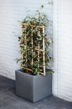 Capi Europe - Bloempot Vierkant Smooth NL - 50x50x50 - Zwart - Voor Binnen En Buiten - KBL904 -Tuin Kweekbenodigdheden 800x1200 116