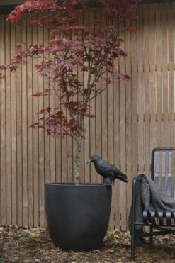 Capi Europe - Bloempot Bol Smooth NL - 43x41 - Zwart - Voor Binnen En Buiten - KBL933 24 Capi Europe - Bloempot Bol Smooth NL - 43x41 - Zwart - Voor Binnen En Buiten - KBL933 -Tuin Kweekbenodigdheden 800x1200 123