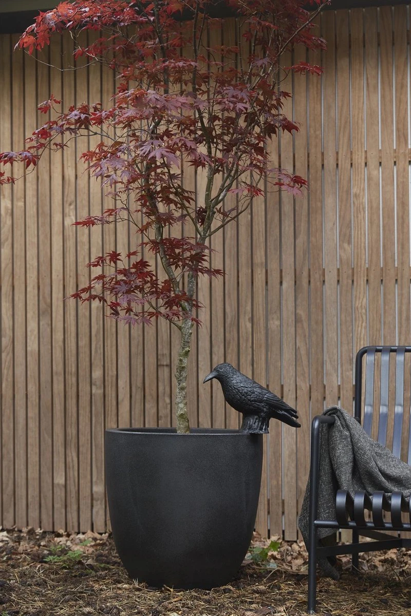 Capi Europe - Bloempot Bol Smooth NL - 43x41 - Zwart - Voor Binnen En Buiten - KBL933 12 Capi Europe - Bloempot Bol Smooth NL - 43x41 - Zwart - Voor Binnen En Buiten - KBL933 - Afbeelding 10