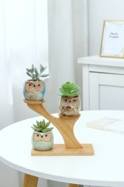 Luxe Bamboe Houten Boom Met 3 Keramiek Uil Bloempotten/Plantenpotten Op Standaard/Voet Voor Binnen En Buiten - Modern Design Bloempot/Plantenpot Op Poten/Pootjes-Plantenbak Mini Cactus Nep Plant Pot Houder - Kleine Bloembakken Plantenrek/Plantenkurk 16 Luxe Bamboe Houten Boom Met 3 Keramiek Uil Bloempotten/Plantenpotten Op Standaard/Voet Voor Binnen En Buiten - Modern Design Bloempot/Plantenpot Op Poten/Pootjes-Plantenbak Mini Cactus Nep Plant Pot Houder - Kleine Bloembakken Plantenrek/Plantenkurk -Tuin Kweekbenodigdheden 800x1200 141