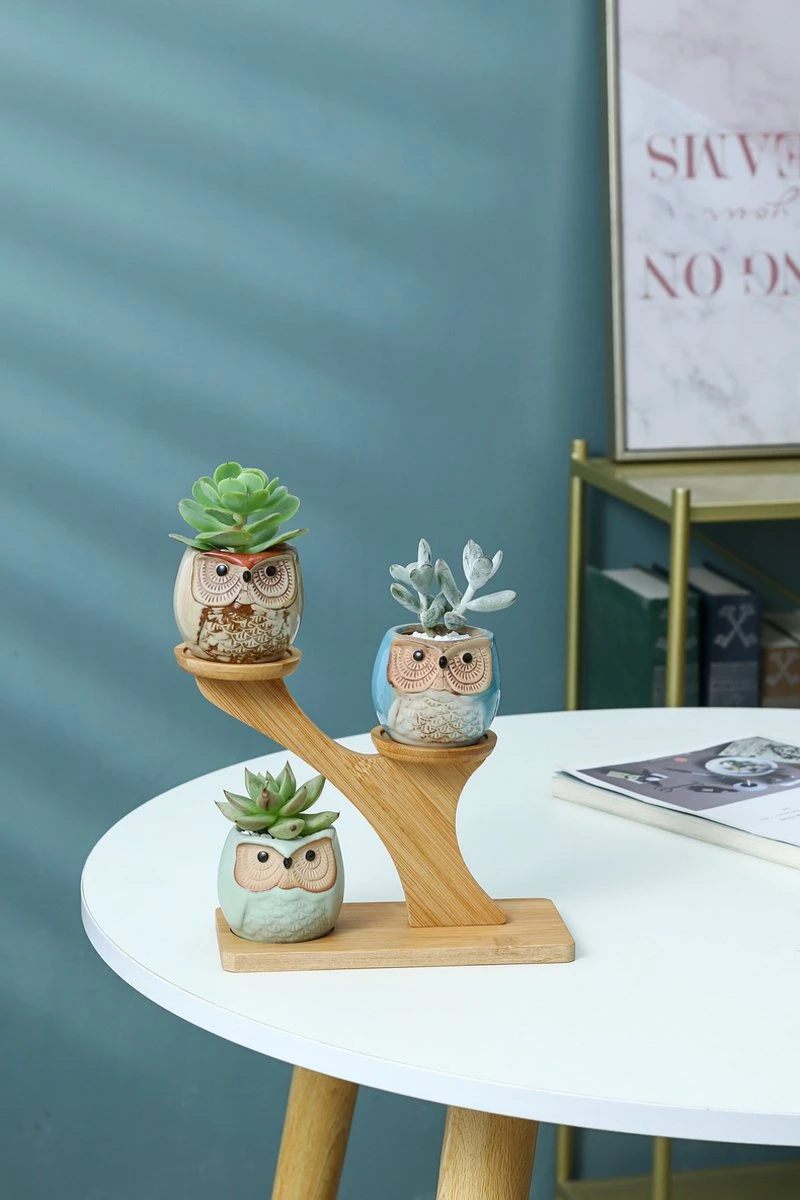 Luxe Bamboe Houten Boom Met 3 Keramiek Uil Bloempotten/Plantenpotten Op Standaard/Voet Voor Binnen En Buiten - Modern Design Bloempot/Plantenpot Op Poten/Pootjes-Plantenbak Mini Cactus Nep Plant Pot Houder - Kleine Bloembakken Plantenrek/Plantenkurk 10 Luxe Bamboe Houten Boom Met 3 Keramiek Uil Bloempotten/Plantenpotten Op Standaard/Voet Voor Binnen En Buiten - Modern Design Bloempot/Plantenpot Op Poten/Pootjes-Plantenbak Mini Cactus Nep Plant Pot Houder - Kleine Bloembakken Plantenrek/Plantenkurk - Afbeelding 8