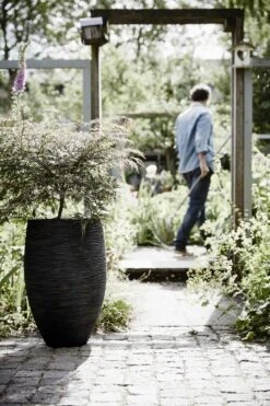 Capi Europe - Vaas Elegant Deluxe Rib NL - 40x60 - Zwart - Voor Binnen En Buiten - KBLR1131 41 Capi Europe - Vaas Elegant Deluxe Rib NL - 40x60 - Zwart - Voor Binnen En Buiten - KBLR1131 -Tuin Kweekbenodigdheden 800x1200 155