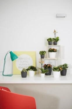 Elho B.for Soft Rond 30 - Bloempot Voor Binnen - Ø 29.5 X H 27.6 Cm - Antraciet 15 Elho B.for Soft Rond 30 - Bloempot Voor Binnen - Ø 29.5 X H 27.6 Cm - Antraciet -Tuin Kweekbenodigdheden 800x1200 159