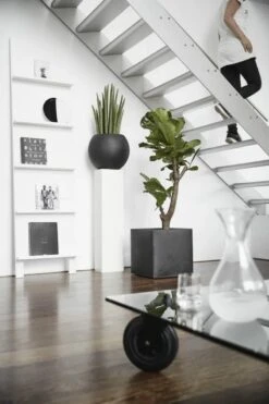 Capi Europe - Bloempot Vierkant Smooth NL - 40x40x40 - Zwart - Voor Binnen En Buiten - KBL903 21 Capi Europe - Bloempot Vierkant Smooth NL - 40x40x40 - Zwart - Voor Binnen En Buiten - KBL903 -Tuin Kweekbenodigdheden 800x1200 164