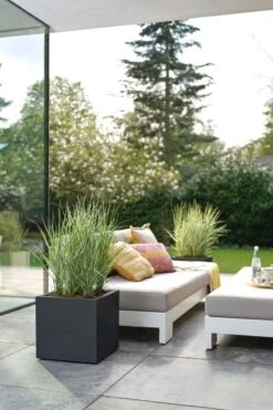 Elho Vivo Next Vierkant 30 - Plantenbak Voor Binnen & Buiten - Ø 29.5 X H 29.5 Cm - Zwart/Living Black -Tuin Kweekbenodigdheden 800x1200 174