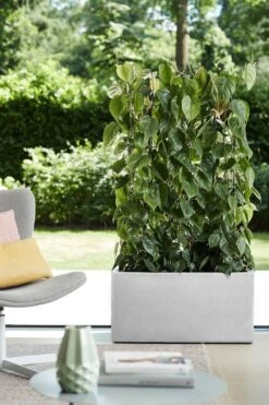 Elho Vivo Structure Finish Lang 90 - Plantenbak Voor Binnen & Buiten - Ø 88 X H 41 - Wit -Tuin Kweekbenodigdheden 800x1200 175