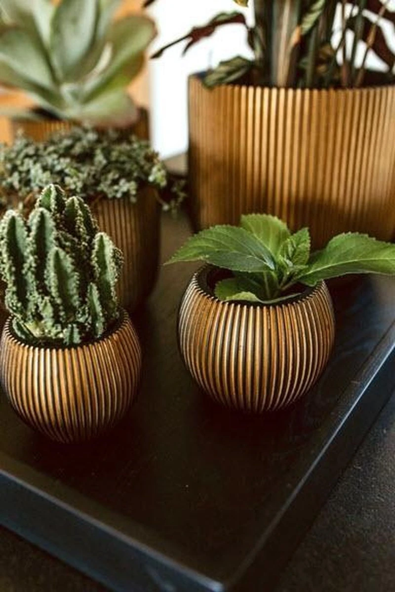 Capi Europe - Vaas Bol Groove XL - 63x51 - Goud - Bloempot Voor Binnen - Opening ⌀42 - GVGB271 4 Capi Europe - Vaas Bol Groove XL - 63x51 - Goud - Bloempot Voor Binnen - Opening ⌀42 - GVGB271 - Afbeelding 2