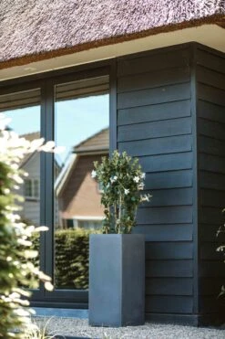 Capi Europe - Bloempot Rechthoek Smooth NL - 36x36x79 - Zwart - Voor Binnen En Buiten - KBL952 -Tuin Kweekbenodigdheden 800x1200 84