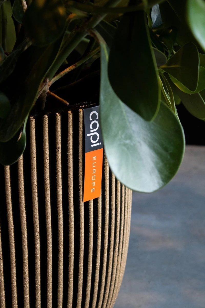 Capi Europe - Bloempot Bol Groove NL - 43x41 - Zwart - Voor Binnen En Buiten - KGVBL933 4 Capi Europe - Bloempot Bol Groove NL - 43x41 - Zwart - Voor Binnen En Buiten - KGVBL933 - Afbeelding 2