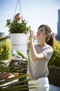 Elho Greenville Hangschaal 24 - Bloempot Voor Balkonbuiten - Ø 23.5 X H 20.5 Cm - Zwart/Living Black -Tuin Kweekbenodigdheden 801x1200 13