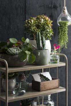 Mica Decorations Lester Bloempot - H31 X Ø33 Cm - Terracotta - Groen -Tuin Kweekbenodigdheden 801x1200 14