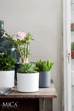 Mica Decorations Era Bloempot - H26 X Ø28 Cm - Wit 14 Mica Decorations Era Bloempot - H26 X Ø28 Cm - Wit -Tuin Kweekbenodigdheden 803x1200 5