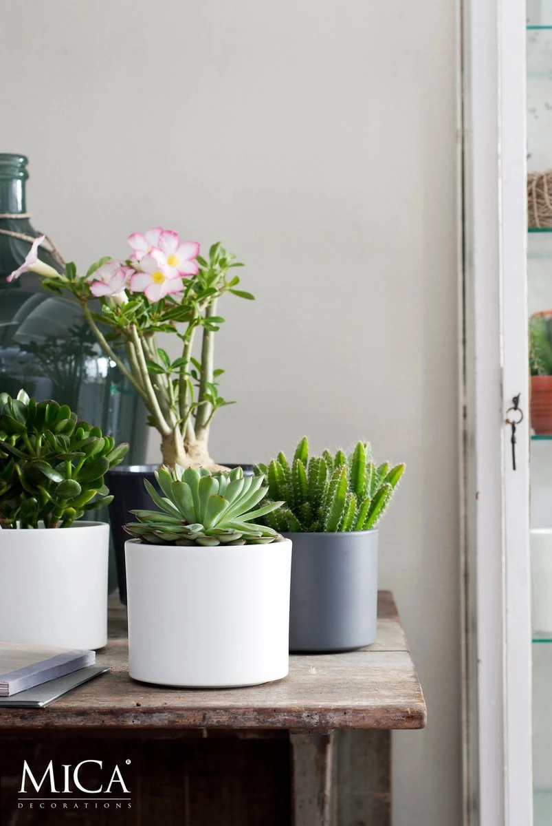 Mica Decorations Era Bloempot - H26 X Ø28 Cm - Wit 8 Mica Decorations Era Bloempot - H26 X Ø28 Cm - Wit - Afbeelding 6