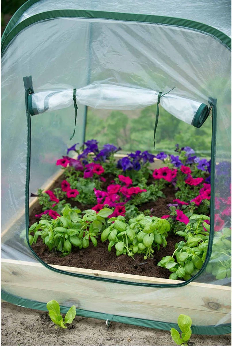 Nature - Tuinbroeikas Pop-up - 100 X 100 X 100cm - Vierkante Meter Tuin 6 Nature - Tuinbroeikas Pop-up - 100 X 100 X 100cm - Vierkante Meter Tuin - Afbeelding 4