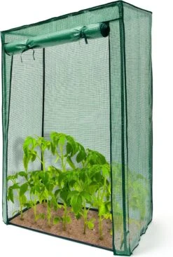 Relaxdays Tomatenkas 150x100x50 Cm - Tuinkas Tomaten - Foliekas - Serre - Kweekkas - PVC -Tuin Kweekbenodigdheden 808x1200 4