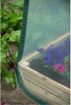 Nature - Tuinbroeikas Pop-up - 100 X 100 X 100cm - Vierkante Meter Tuin 17 Nature - Tuinbroeikas Pop-up - 100 X 100 X 100cm - Vierkante Meter Tuin -Tuin Kweekbenodigdheden 810x1200