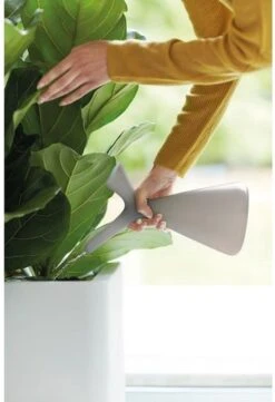 Elho Plunge Gieter 20 - Gieter Voor Binnenaccessoires - Ø 15.0 X H 29.5 Cm - Grijs/Warm Grijs 10 Elho Plunge Gieter 20 - Gieter Voor Binnenaccessoires - Ø 15.0 X H 29.5 Cm - Grijs/Warm Grijs -Tuin Kweekbenodigdheden 820x1200 1