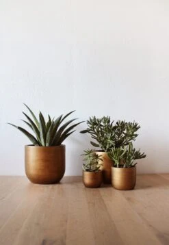 Capi Europe - Set Van 4 - Bloempot Binnen - Retro - - Goud - Bloempot Voor Binnen - BOX-BRTG-4 10 Capi Europe - Set Van 4 - Bloempot Binnen - Retro - - Goud - Bloempot Voor Binnen - BOX-BRTG-4 -Tuin Kweekbenodigdheden 829x1200 2