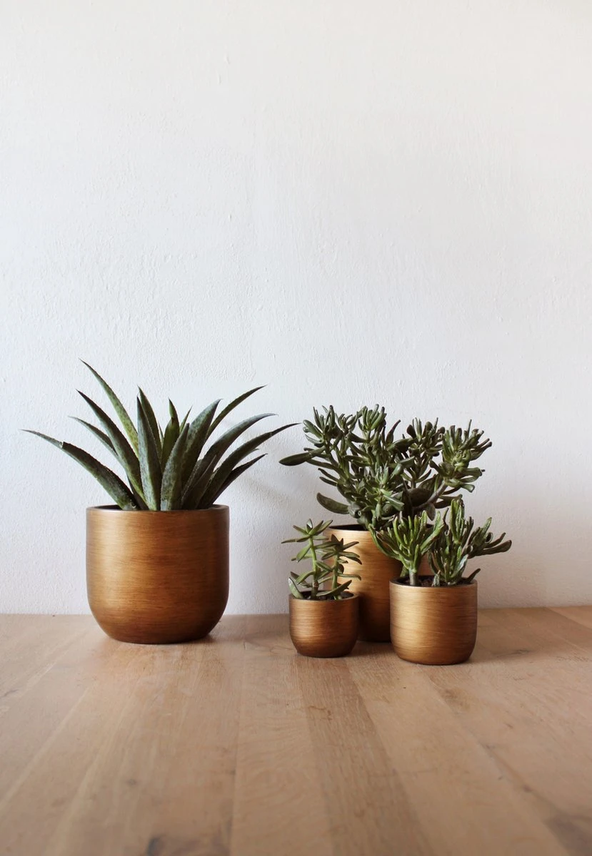 Capi Europe - Set Van 4 - Bloempot Binnen - Retro - - Goud - Bloempot Voor Binnen - BOX-BRTG-4 6 Capi Europe - Set Van 4 - Bloempot Binnen - Retro - - Goud - Bloempot Voor Binnen - BOX-BRTG-4 - Afbeelding 4