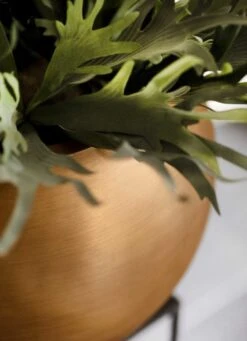 Capi Europe - Vaas Bol Retro - 30x25 - Goud - Bloempot Voor Binnen - BRTG104 19 Capi Europe - Vaas Bol Retro - 30x25 - Goud - Bloempot Voor Binnen - BRTG104 -Tuin Kweekbenodigdheden 869x1200 1