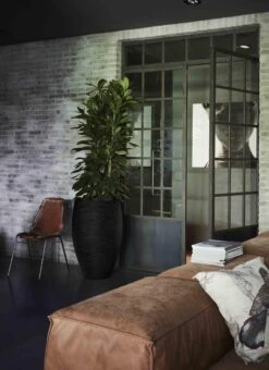 Capi Europe - Vaas Elegant Deluxe Rib NL - 56x84 - Zwart - Voor Binnen En Buiten - KBLR1132 14 Capi Europe - Vaas Elegant Deluxe Rib NL - 56x84 - Zwart - Voor Binnen En Buiten - KBLR1132 -Tuin Kweekbenodigdheden 873x1200