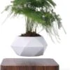 Floatey Design Plant | Zwevende Plant - Bloempot (levitation) -Tuin Kweekbenodigdheden 880x1200 5
