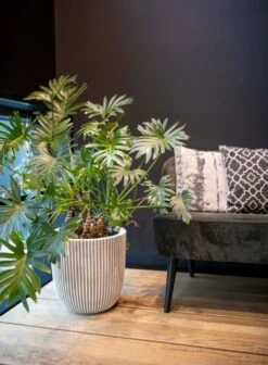 Capi Europe - Bloempot Bol Groove NL - 35x34 - Goud - Voor Binnen En Buiten - KGVGB932 8 Capi Europe - Bloempot Bol Groove NL - 35x34 - Goud - Voor Binnen En Buiten - KGVGB932 -Tuin Kweekbenodigdheden 883x1200 2