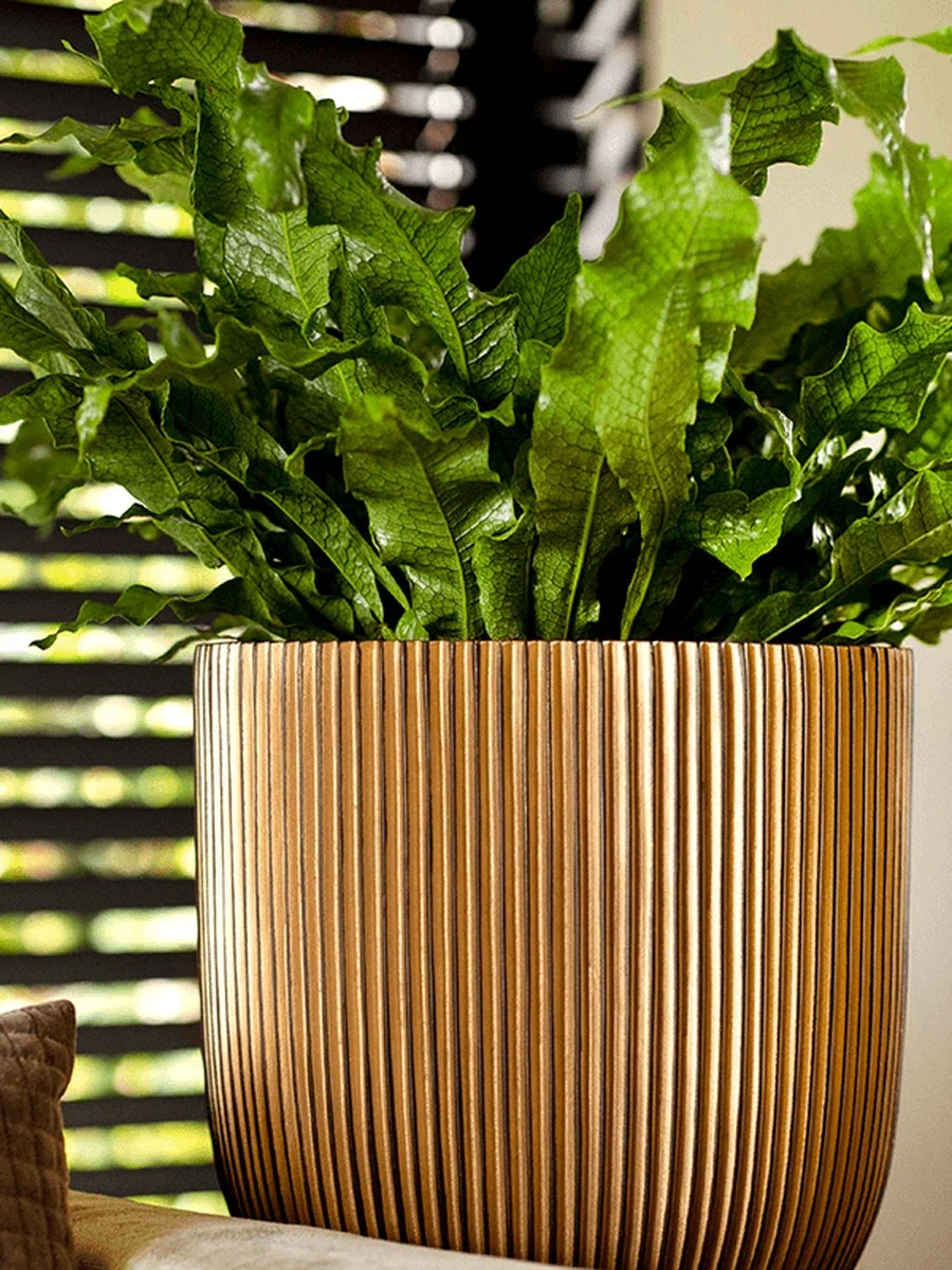 Capi Europe - Bloempot Bol Groove - 23x21 - Goud - Bloempot Voor Binnen - BGVGB134 7 Capi Europe - Bloempot Bol Groove - 23x21 - Goud - Bloempot Voor Binnen - BGVGB134 - Afbeelding 5