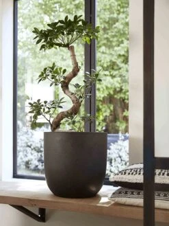 Capi Europe - Bloempot Bol Smooth NL - 54x52 - Zwart - Voor Binnen En Buiten - KBL935 -Tuin Kweekbenodigdheden 900x1200 31