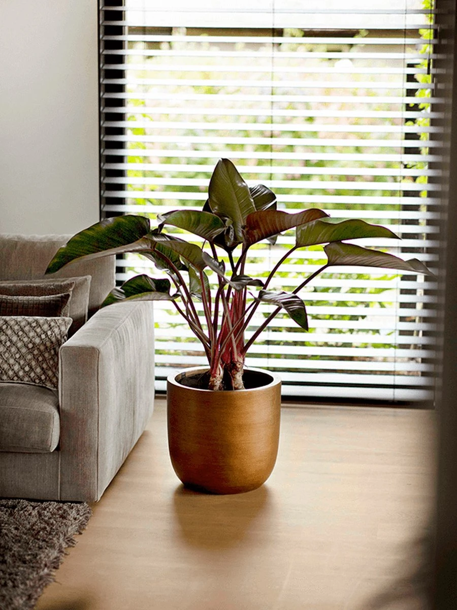 Capi Europe - Bloempot Bol Retro XL - 42x41 - Goud - Bloempot Voor Binnen - Opening ⌀36 - RTG933 7 Capi Europe - Bloempot Bol Retro XL - 42x41 - Goud - Bloempot Voor Binnen - Opening ⌀36 - RTG933 - Afbeelding 5