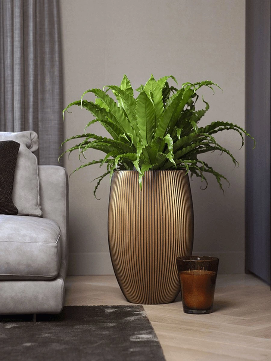 Capi Europe - Vaas Elegant Deluxe Groove XL - 40x61 - Goud - Bloempot Voor Binnen - Opening ⌀29 - GVGB1131 4 Capi Europe - Vaas Elegant Deluxe Groove XL - 40x61 - Goud - Bloempot Voor Binnen - Opening ⌀29 - GVGB1131 - Afbeelding 2