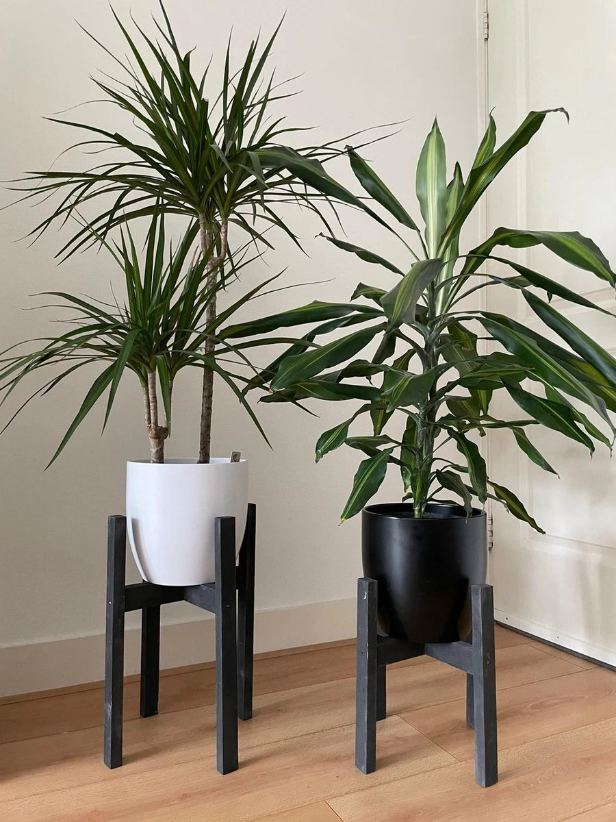 Plantenstandaard Binnen - Set Van 2 - Diameter Tot 24 Cm - Plantenkruk - Bloempotten Voor Binnen - Plantentafeltje Voor Binnen - Bloempot Standaard - Plantenstandaard - Hout - Mat Zwart/Donkergrijs 4 Plantenstandaard Binnen - Set Van 2 - Diameter Tot 24 Cm - Plantenkruk - Bloempotten Voor Binnen - Plantentafeltje Voor Binnen - Bloempot Standaard - Plantenstandaard - Hout - Mat Zwart/Donkergrijs - Afbeelding 2