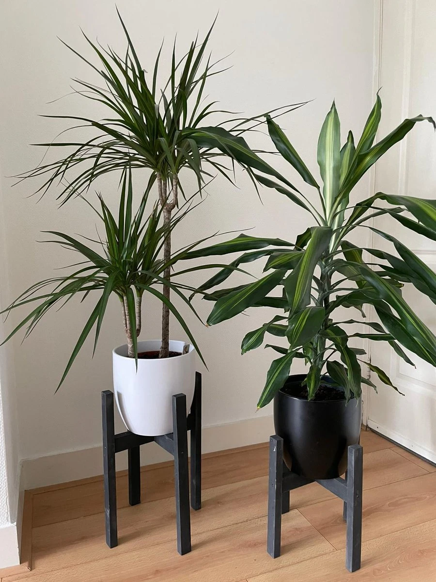 Plantenstandaard Binnen - Set Van 2 - Diameter Tot 24 Cm - Plantenkruk - Bloempotten Voor Binnen - Plantentafeltje Voor Binnen - Bloempot Standaard - Plantenstandaard - Hout - Mat Zwart/Donkergrijs 5 Plantenstandaard Binnen - Set Van 2 - Diameter Tot 24 Cm - Plantenkruk - Bloempotten Voor Binnen - Plantentafeltje Voor Binnen - Bloempot Standaard - Plantenstandaard - Hout - Mat Zwart/Donkergrijs - Afbeelding 3