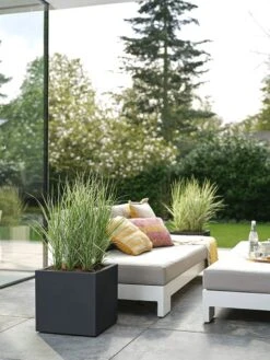 Elho Vivo Next Vierkant 30 - Plantenbak Voor Binnen & Buiten - Ø 29.5 X H 29.5 Cm - Zwart/Living Black -Tuin Kweekbenodigdheden 900x1200 49