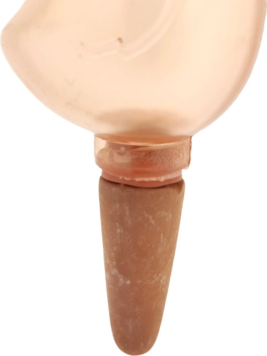 JS Drippy - Waterdruppelaars Set Van 2 Stuks - Druppelaar Vogel - Druppelsysteem Planten - Watergeefsysteem Kamerplanten - Waterbol - Roze 6 JS Drippy - Waterdruppelaars Set Van 2 Stuks - Druppelaar Vogel - Druppelsysteem Planten - Watergeefsysteem Kamerplanten - Waterbol - Roze - Afbeelding 4