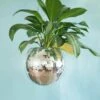 Discobal Hangplant - Bloempot - Hangplant - Disco - Discobal - Spiegel - Zilver - Hangpot - Glitter - Planten In Bak - Hangend - Staand -Tuin Kweekbenodigdheden 901x1200 3