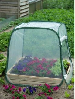 Nature - Tuinbroeikas Pop-up - 100 X 100 X 100cm - Vierkante Meter Tuin 16 Nature - Tuinbroeikas Pop-up - 100 X 100 X 100cm - Vierkante Meter Tuin -Tuin Kweekbenodigdheden 908x1200