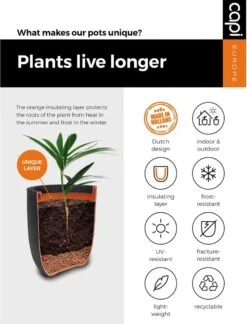 Capi Europe - Bloempot Vierkant Smooth NL - 50x50x50 - Zwart - Voor Binnen En Buiten - KBL904 -Tuin Kweekbenodigdheden 916x1200 2