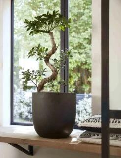 Capi Europe - Bloempot Bol Smooth NL - 35x34 - Zwart - Voor Binnen En Buiten - KBL932 19 Capi Europe - Bloempot Bol Smooth NL - 35x34 - Zwart - Voor Binnen En Buiten - KBL932 -Tuin Kweekbenodigdheden 923x1200 1