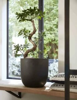 Capi Europe - Bloempot Bol Smooth NL - 43x41 - Zwart - Voor Binnen En Buiten - KBL933 16 Capi Europe - Bloempot Bol Smooth NL - 43x41 - Zwart - Voor Binnen En Buiten - KBL933 -Tuin Kweekbenodigdheden 923x1200 6