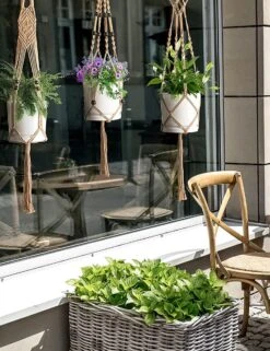 5 Stuks Jute Macrame Plantenhangers - Boho Handgeweven Katoen Hangpot Voor Binnen/Buiten - Hangende Bloempot Met Kralen - Macramé Touw/Koord Hangplant Houder - Bohemian Wandhanger Decoratie - Plant Hanger - Verticale Tuin Bloempothouder Planthanger -Tuin Kweekbenodigdheden 923x1200 9