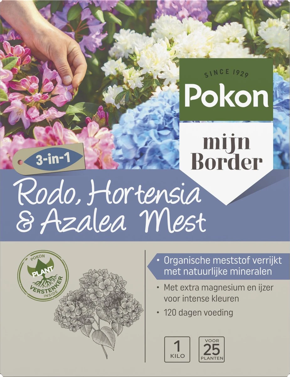 Pokon Rhododendron, Hortensia & Azalea Mest - 1kg - Meststof - 3-in-1 Werking 3 Pokon Rhododendron, Hortensia & Azalea Mest - 1kg - Meststof - 3-in-1 Werking