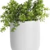 Pt Wand Bloempot Oval - White -Tuin Kweekbenodigdheden 937x1200 1