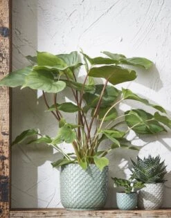 Mica Decorations Daan Bloempot - H17,5 X Ø19 Cm - Groen 13 Mica Decorations Daan Bloempot - H17,5 X Ø19 Cm - Groen -Tuin Kweekbenodigdheden 942x1200 3