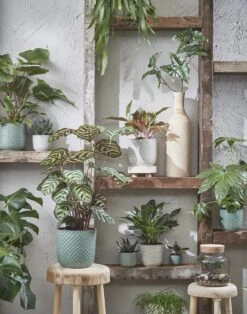 Mica Decorations Daan Bloempot - H17,5 X Ø19 Cm - Groen 11 Mica Decorations Daan Bloempot - H17,5 X Ø19 Cm - Groen -Tuin Kweekbenodigdheden 943x1200 2