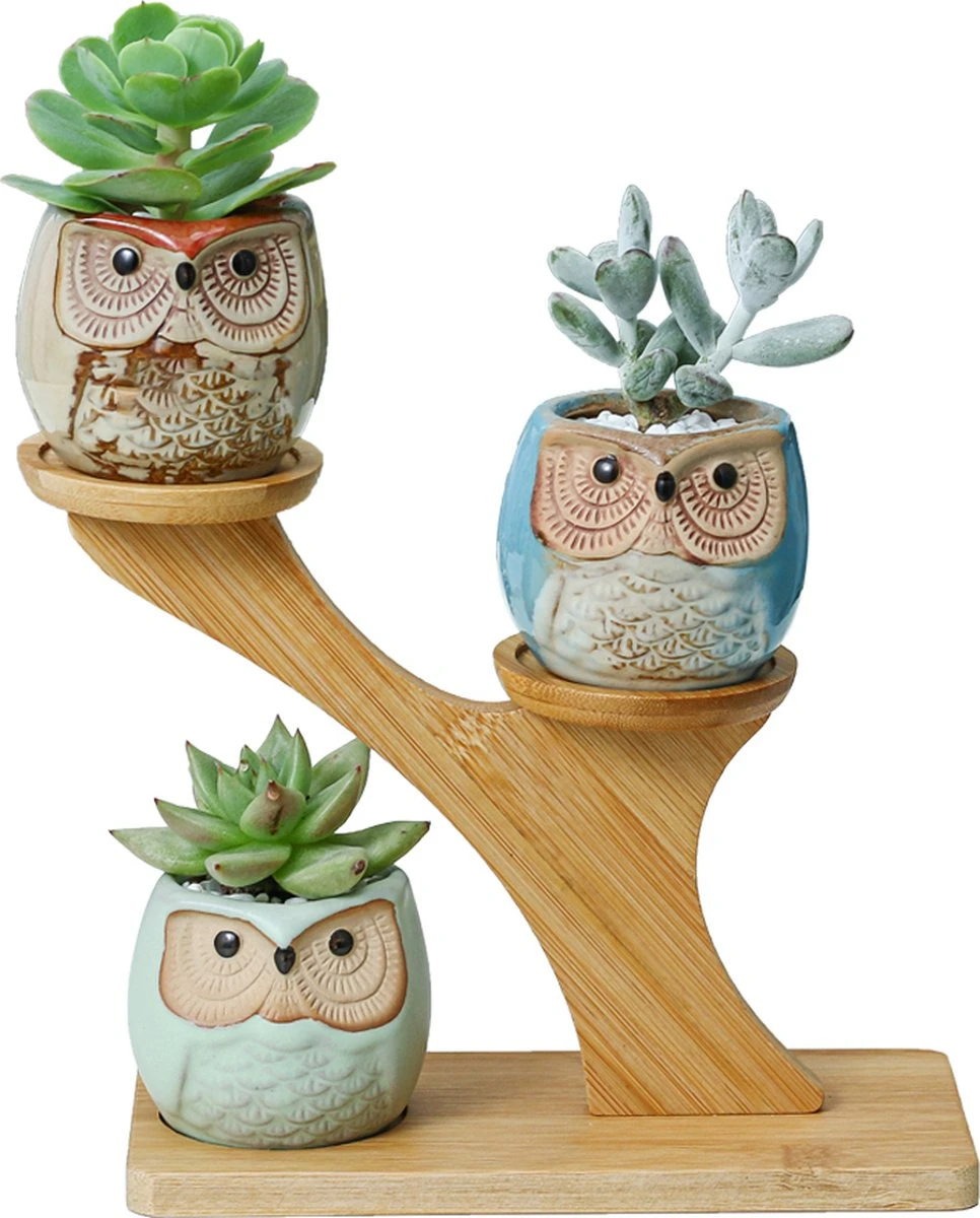 Luxe Bamboe Houten Boom Met 3 Keramiek Uil Bloempotten/Plantenpotten Op Standaard/Voet Voor Binnen En Buiten - Modern Design Bloempot/Plantenpot Op Poten/Pootjes-Plantenbak Mini Cactus Nep Plant Pot Houder - Kleine Bloembakken Plantenrek/Plantenkurk 3 Luxe Bamboe Houten Boom Met 3 Keramiek Uil Bloempotten/Plantenpotten Op Standaard/Voet Voor Binnen En Buiten - Modern Design Bloempot/Plantenpot Op Poten/Pootjes-Plantenbak Mini Cactus Nep Plant Pot Houder - Kleine Bloembakken Plantenrek/Plantenkurk