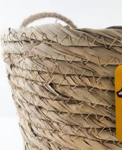 Merkloos Plantenhanger 18x15cm Naturel | Hangende Mand | Handgemaakt | Planten-houder / Hang-plant | Planten Accessoires | Hangmand 10 Merkloos Plantenhanger 18x15cm Naturel | Hangende Mand | Handgemaakt | Planten-houder / Hang-plant | Planten Accessoires | Hangmand -Tuin Kweekbenodigdheden 971x1200 1