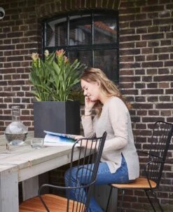 Capi Europe - Bloempot Vierkant Smooth NL - 50x50x50 - Zwart - Voor Binnen En Buiten - KBL904 -Tuin Kweekbenodigdheden 983x1200 2